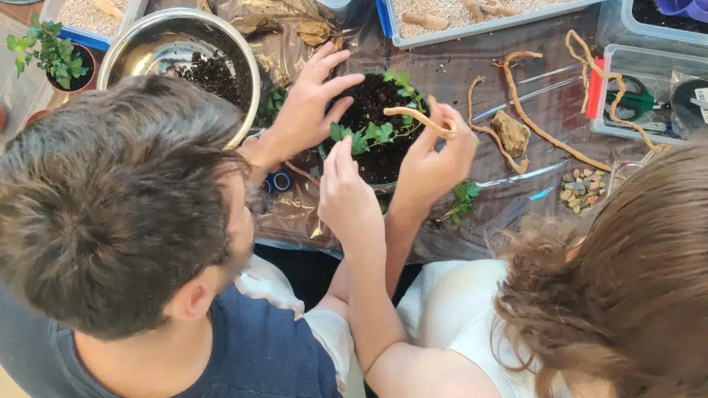 סדנא זוגית מילואים