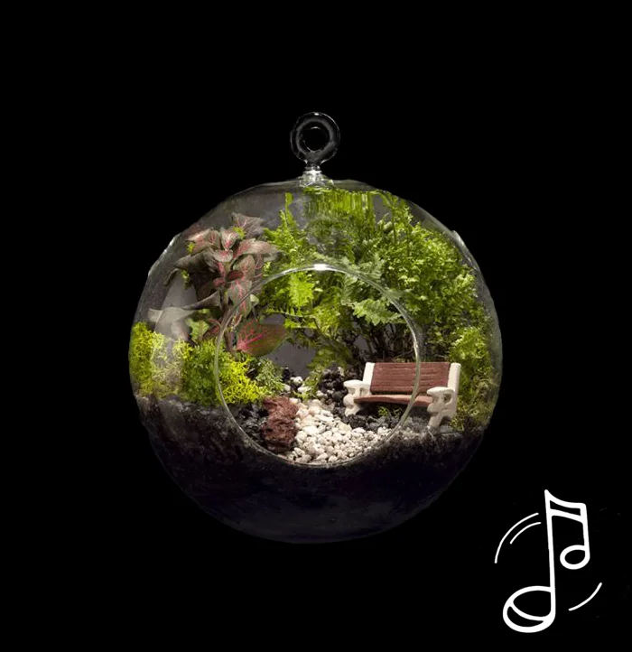 טרריום למכירה אהבה זוגית ודמיון מודרך