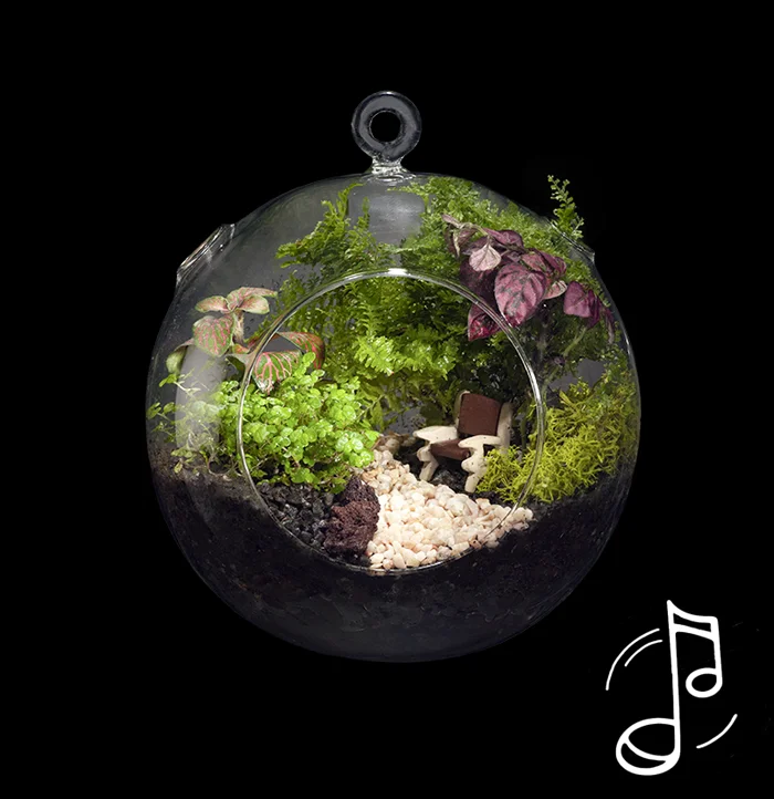 טרריום למכירה אהבה עצמית ודמיון מודרך