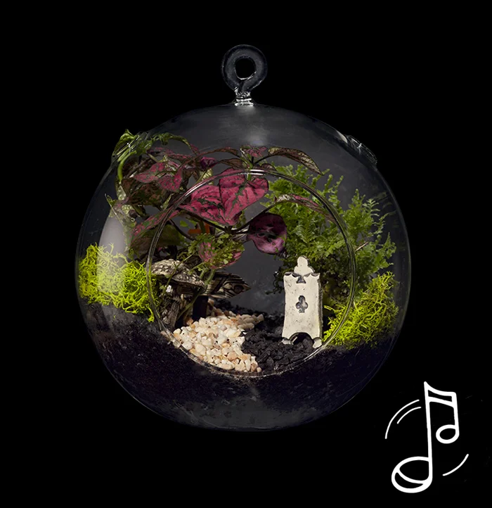 טרריום למכירה אליס ודמיון מודרך