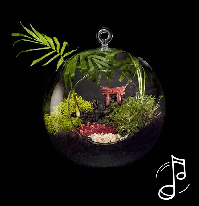 טרריום למכירה יפן ודמיון מודרך