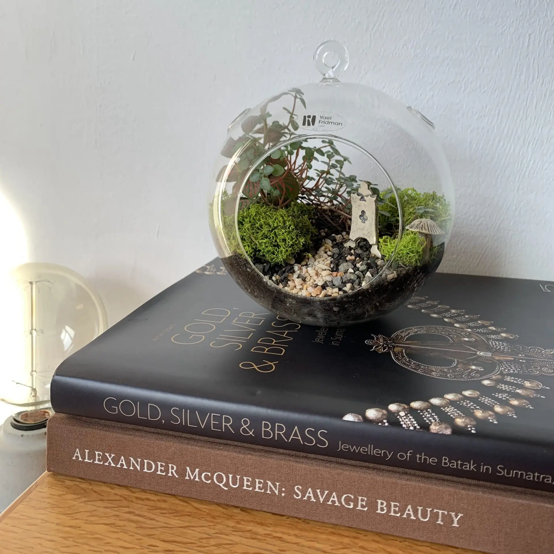 טרריום צמחים למכירה