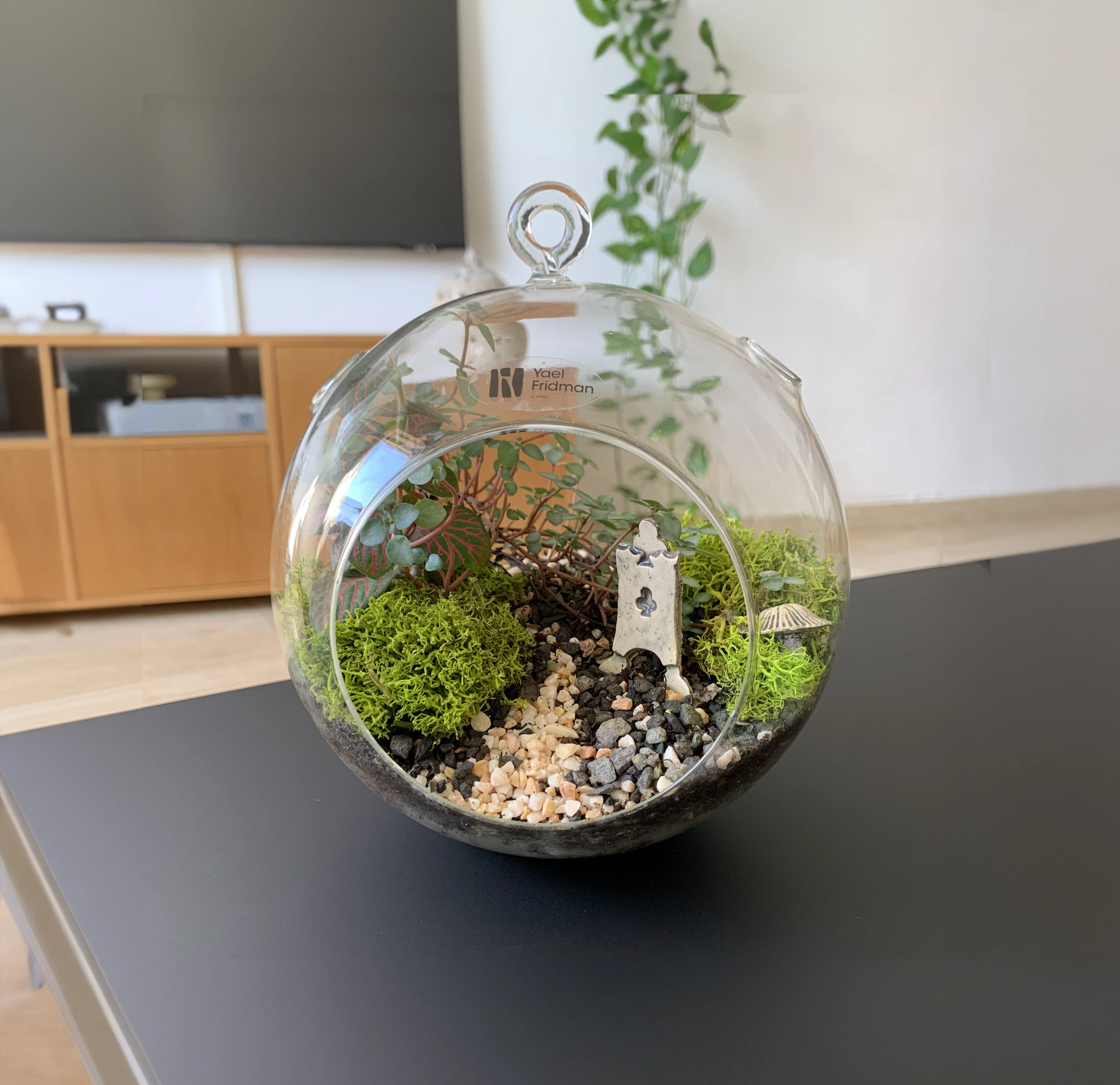 טרריום למכירה על שולחן