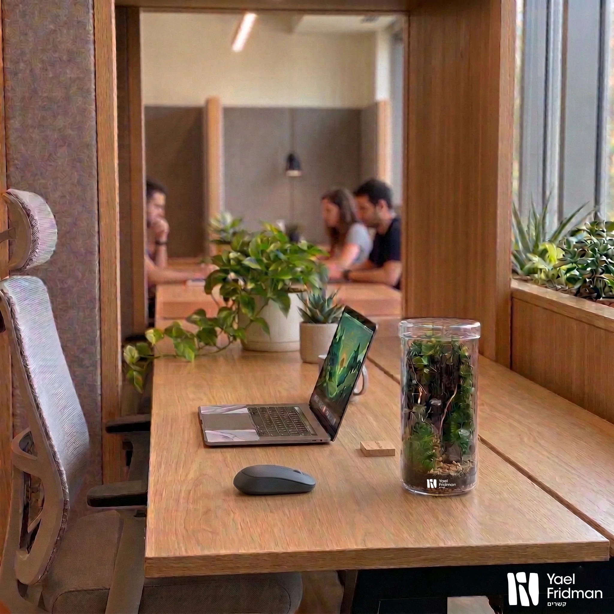 טרריום במשרד אופן ספייס