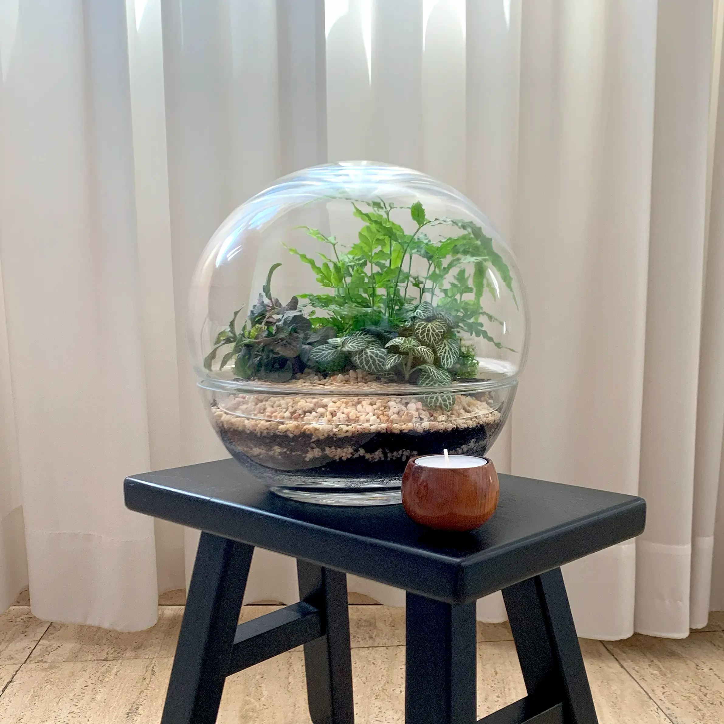 טרריום כלי בועה למכירה שרפרף שחור נר סדנת יצירת טרריום