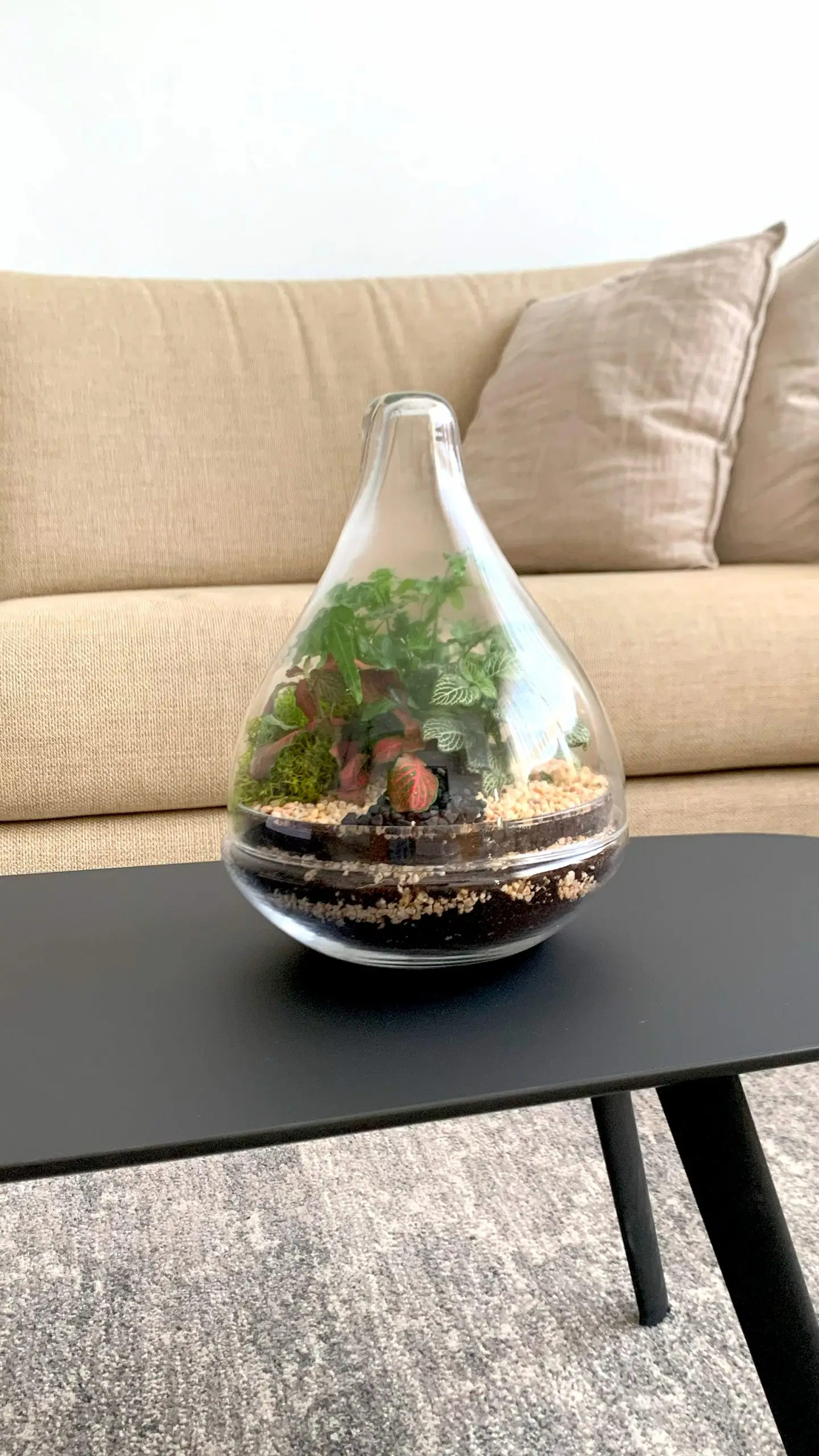 טרריום למכירה כלי טיפה בסלון 2 סדנת יצירת טרריום