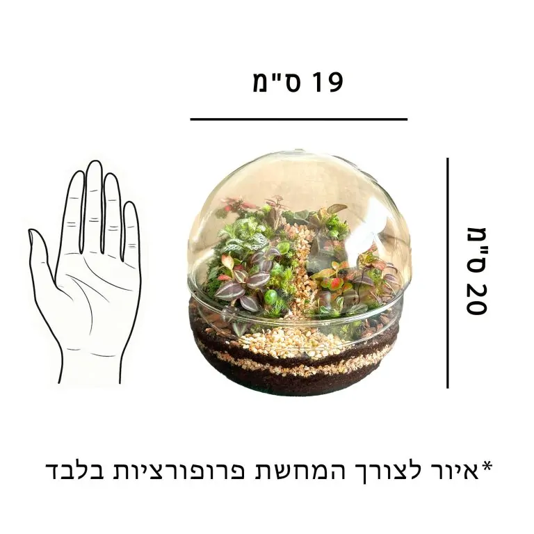 איור לצורך התרשמות וקבלת פרופורציות של הכלי