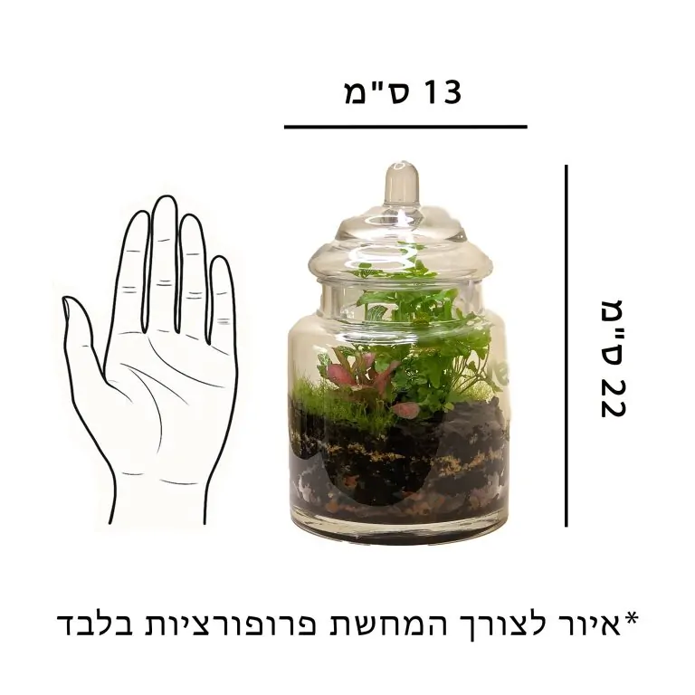 איור לצורך התרשמות וקבלת פרופורציות של הכלי