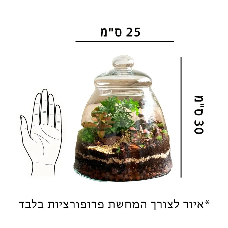איור לצורך התרשמות וקבלת פרופורציות של הכלי
