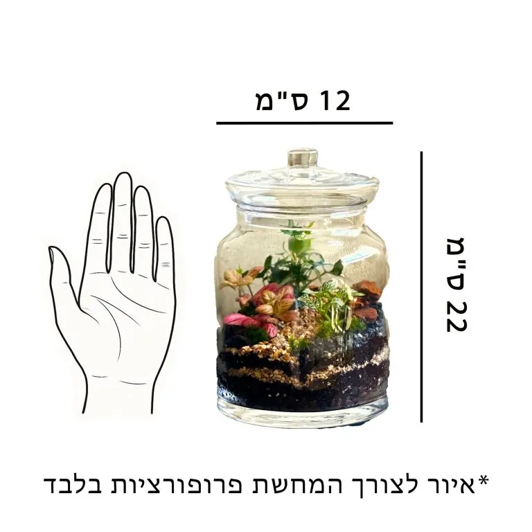 איור לצורך התרשמות וקבלת פרופורציות של הכלי