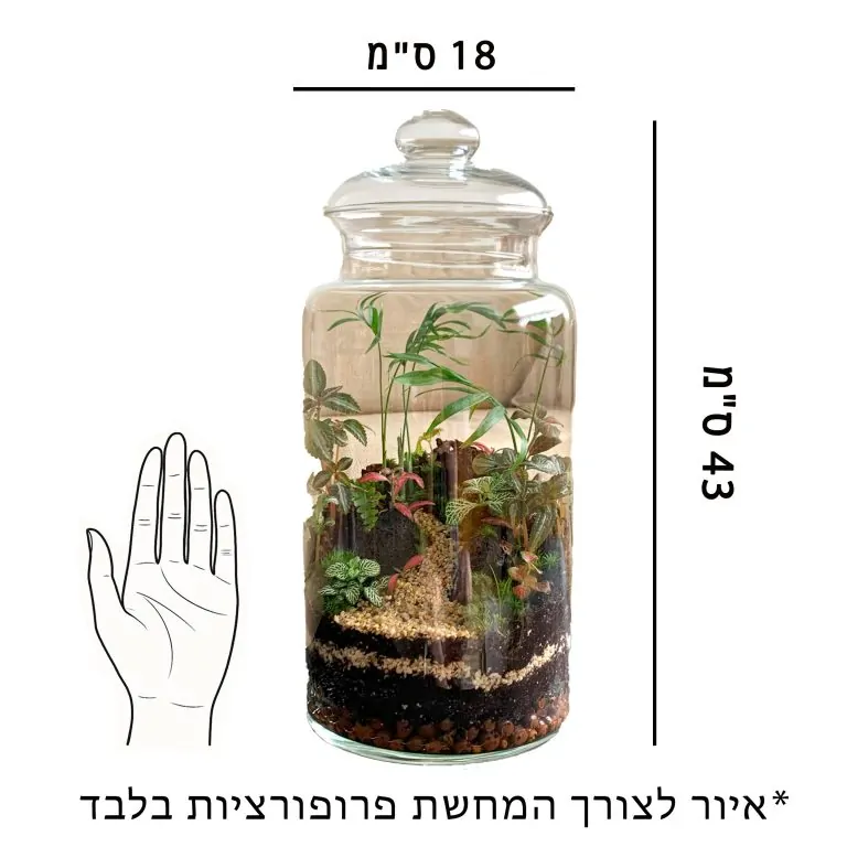 טרריום כלי צילינדר גבוה פרופורציה