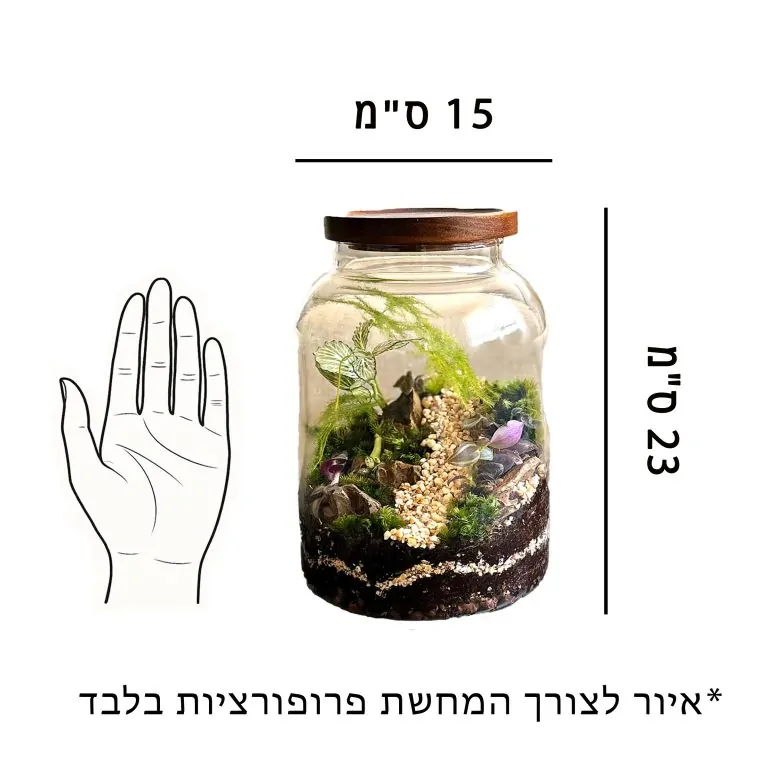 איור לצורך התרשמות וקבלת פרופורציות של הכלי