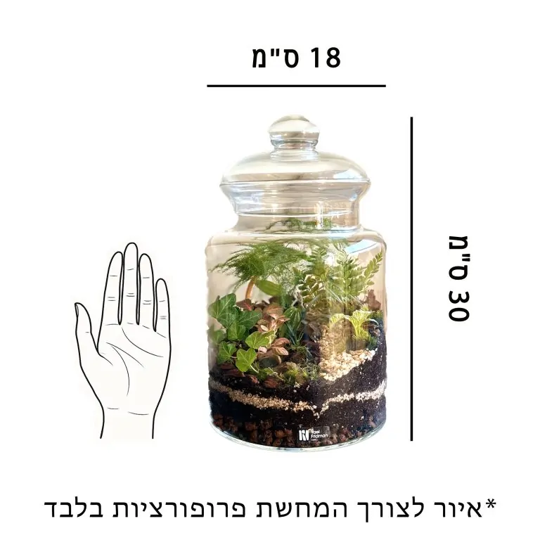איור לצורך התרשמות וקבלת פרופורציות של הכלי