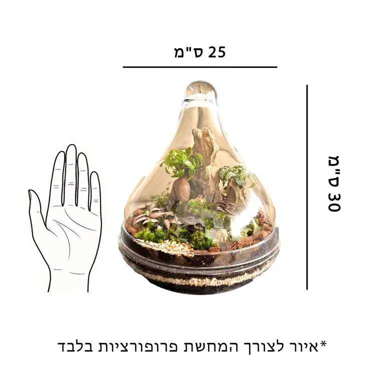 איור לצורך התרשמות וקבלת פרופורציות של הכלי