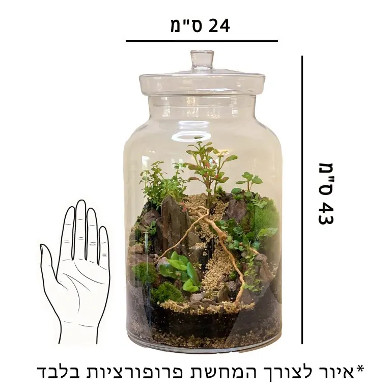 איור לצורך התרשמות וקבלת פרופורציות של הכלי