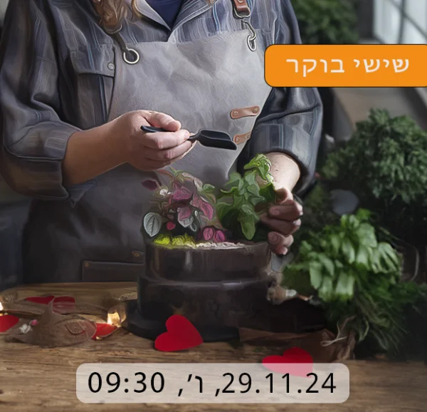 סדנת טרריום בשישי בבוקר 29.11.24