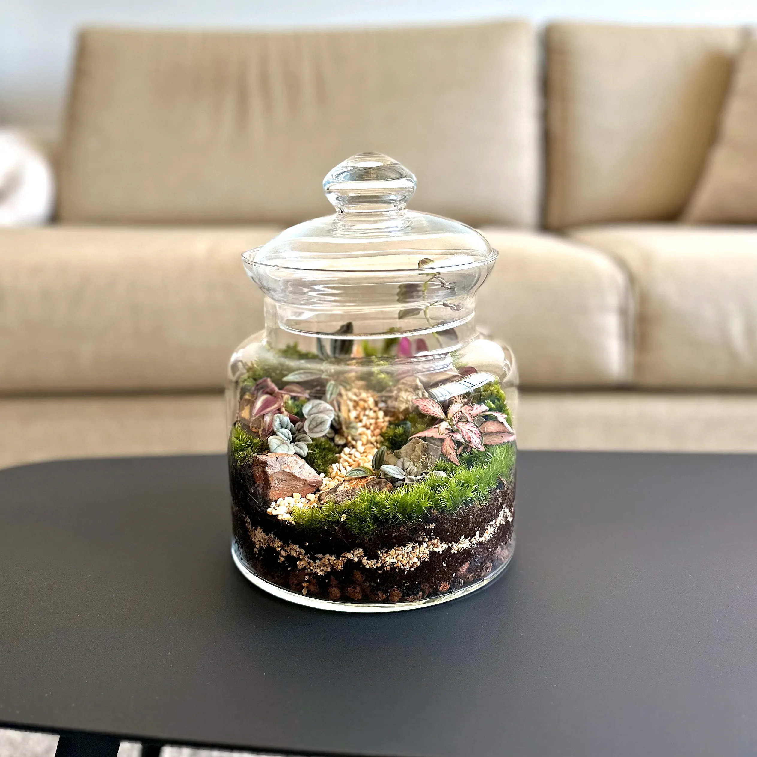 טרריום צילינדר כיפה 25 סמ