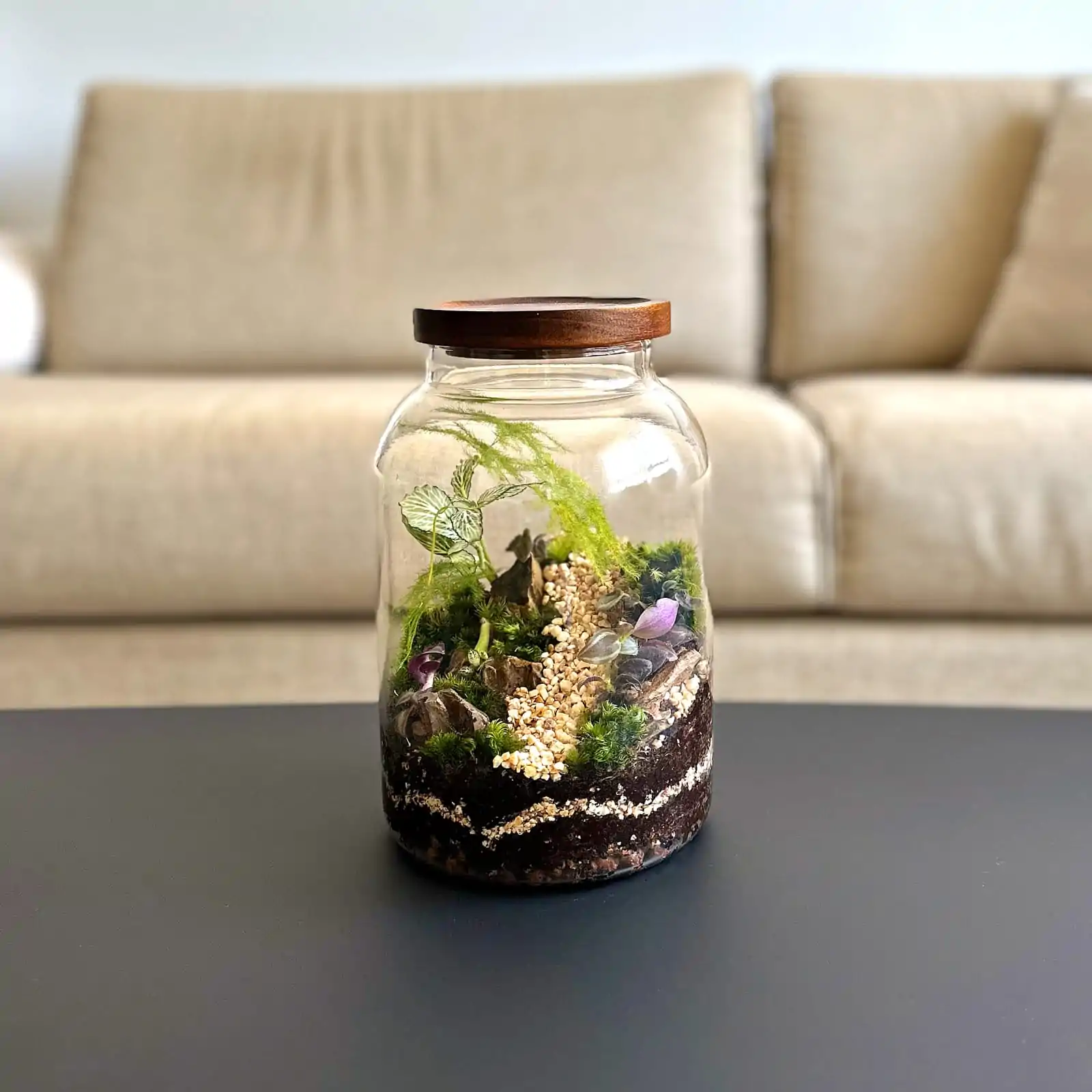 טרריום צילינדר מעוגל עץ