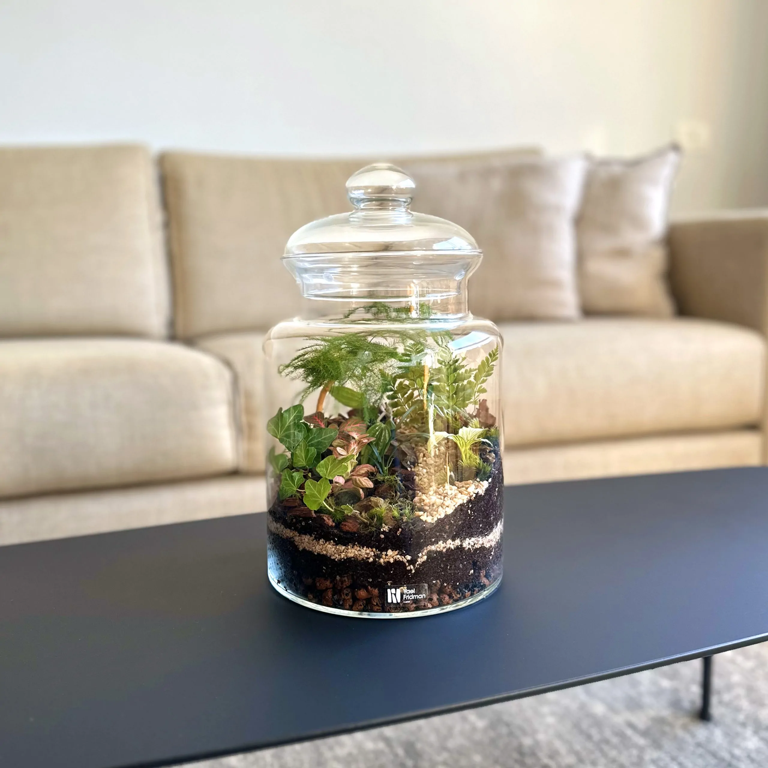 טרריום צילינדר כיפה 30 סמ