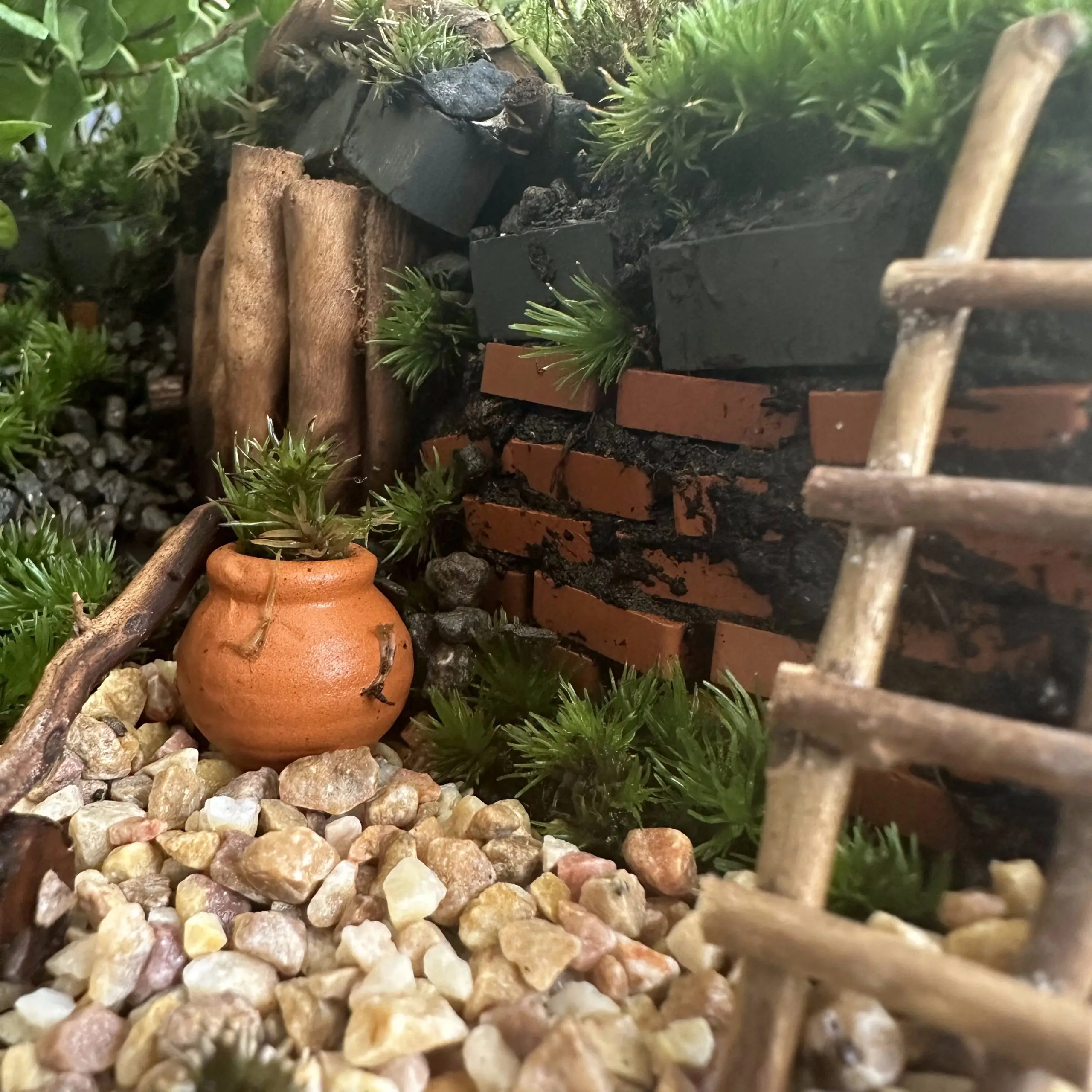 ⁦Terrarium Workshop The Hobbit⁩ – תמונה ⁦4⁩