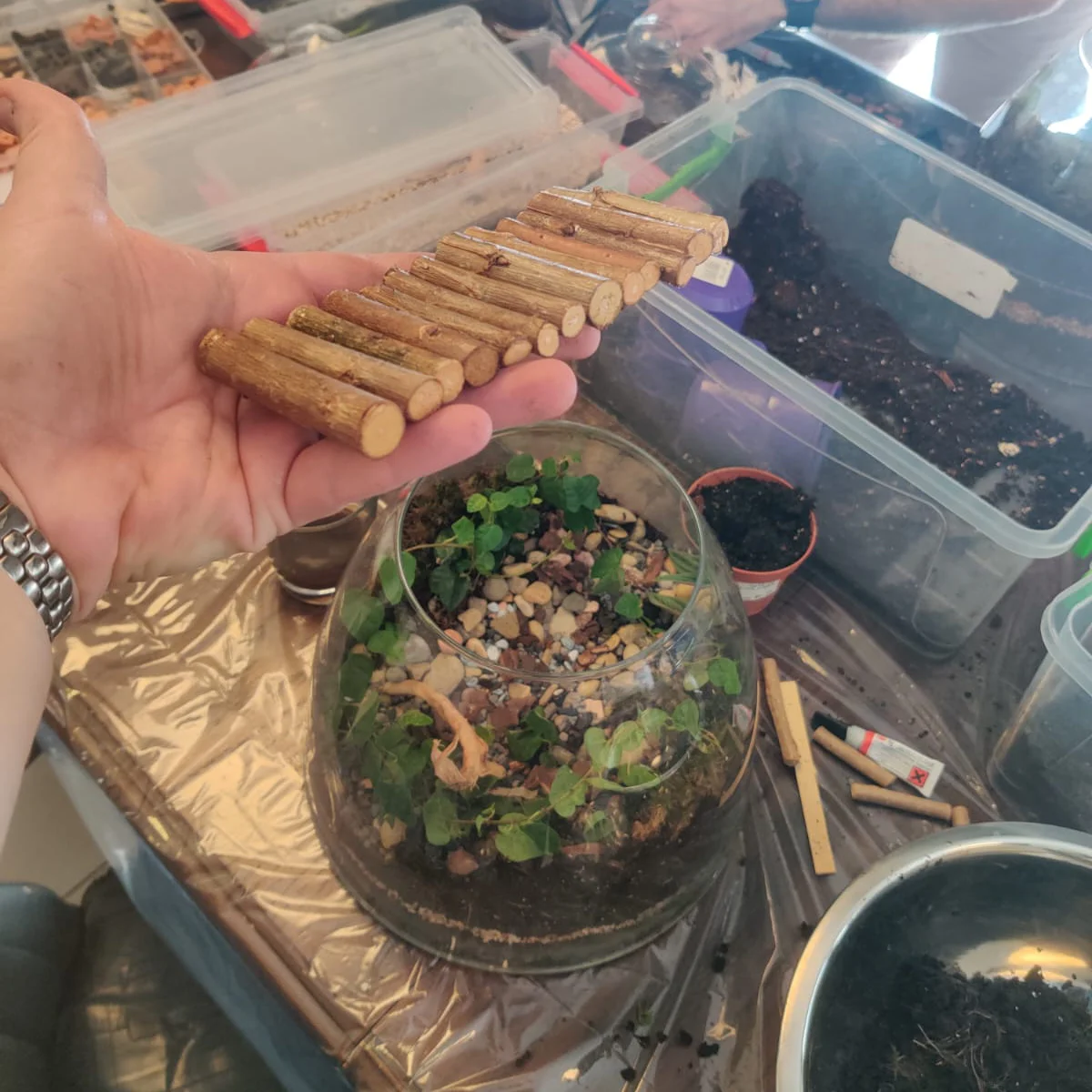 טרריום גשר בזמן בנייה