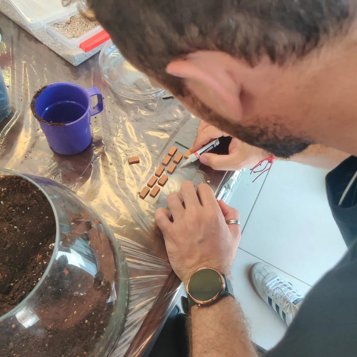 טרריום הוביט בניית קיר