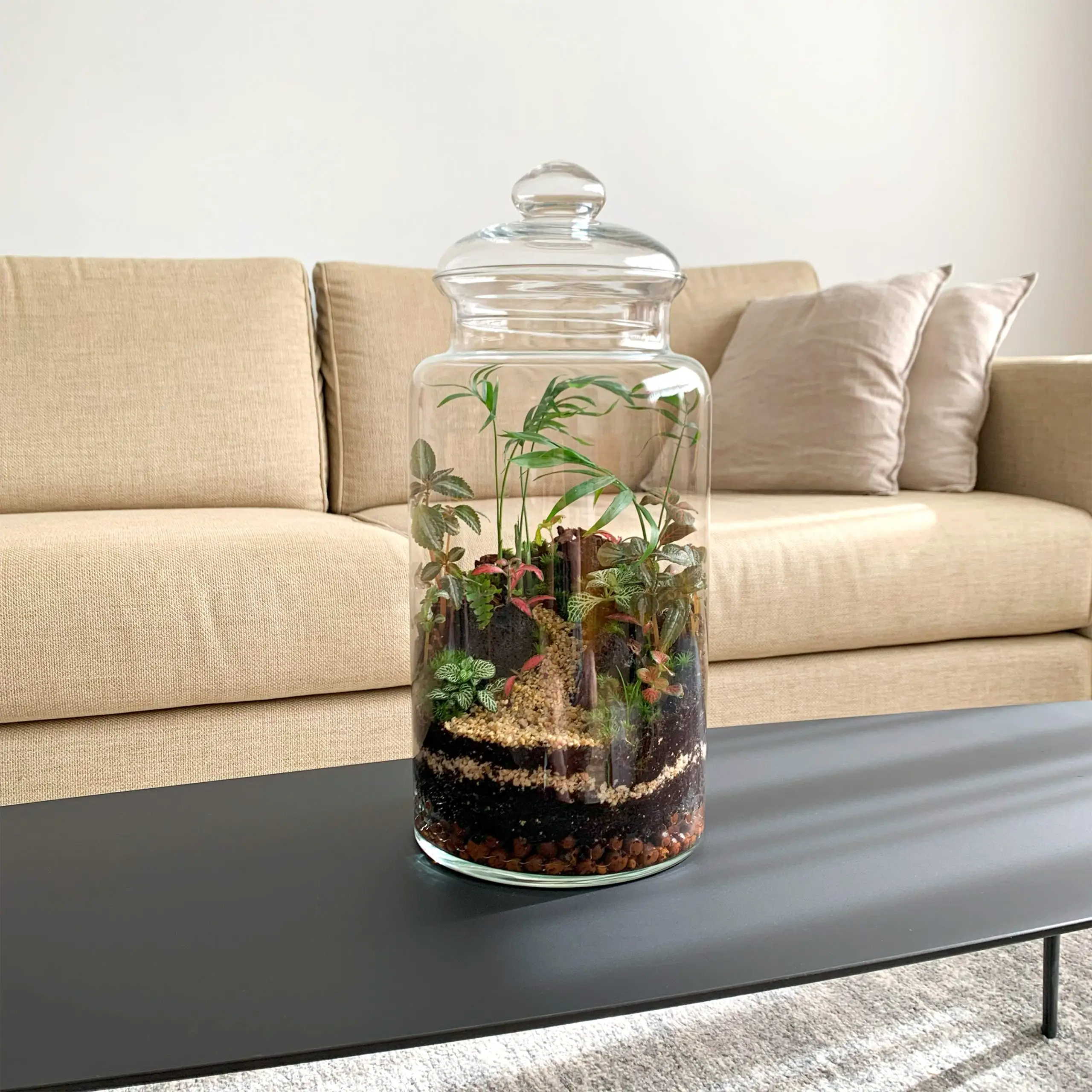 ⁦Terrarium Workshop - Tu Bishvat⁩ – תמונה ⁦7⁩