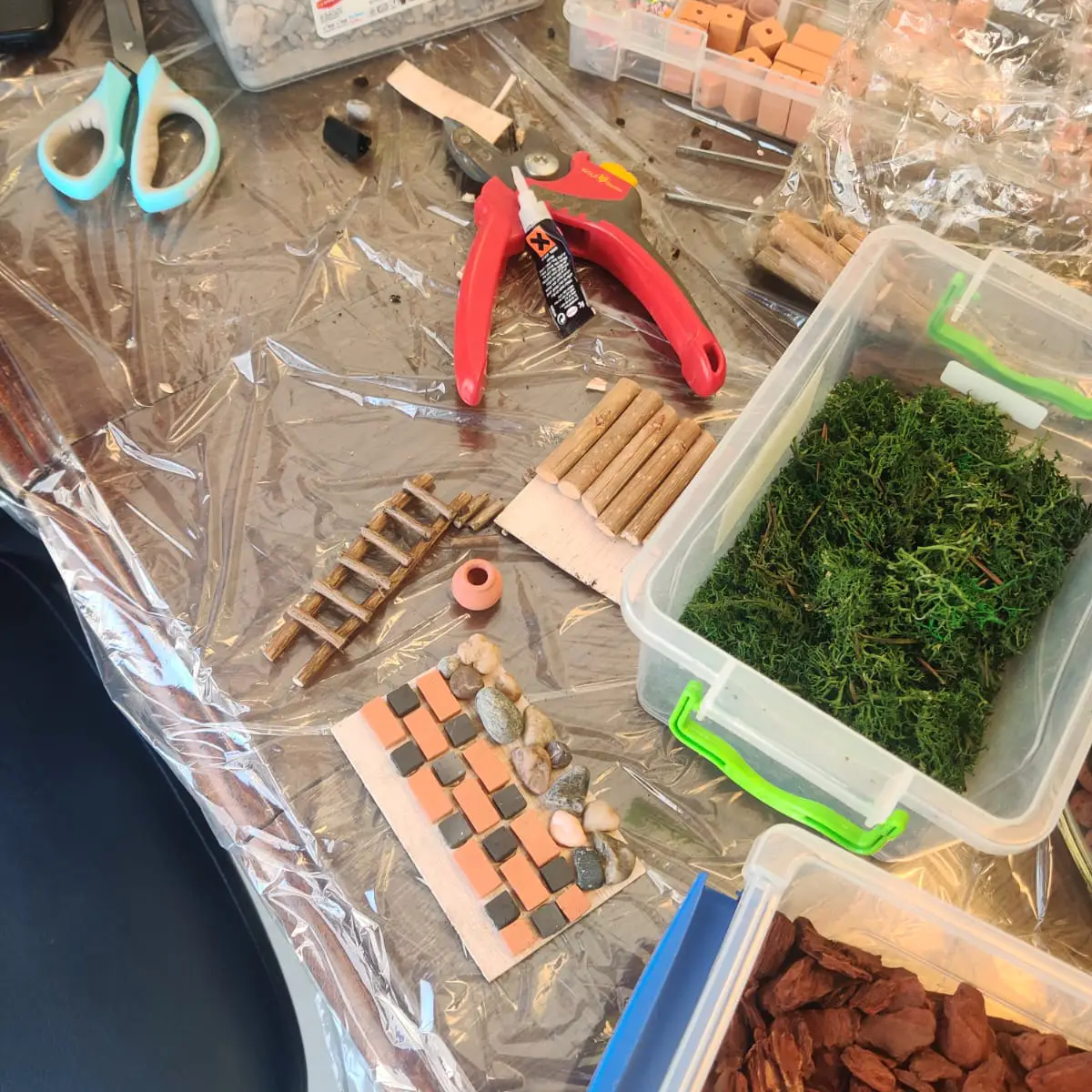 סדנת טרריום צמחים ההוביט