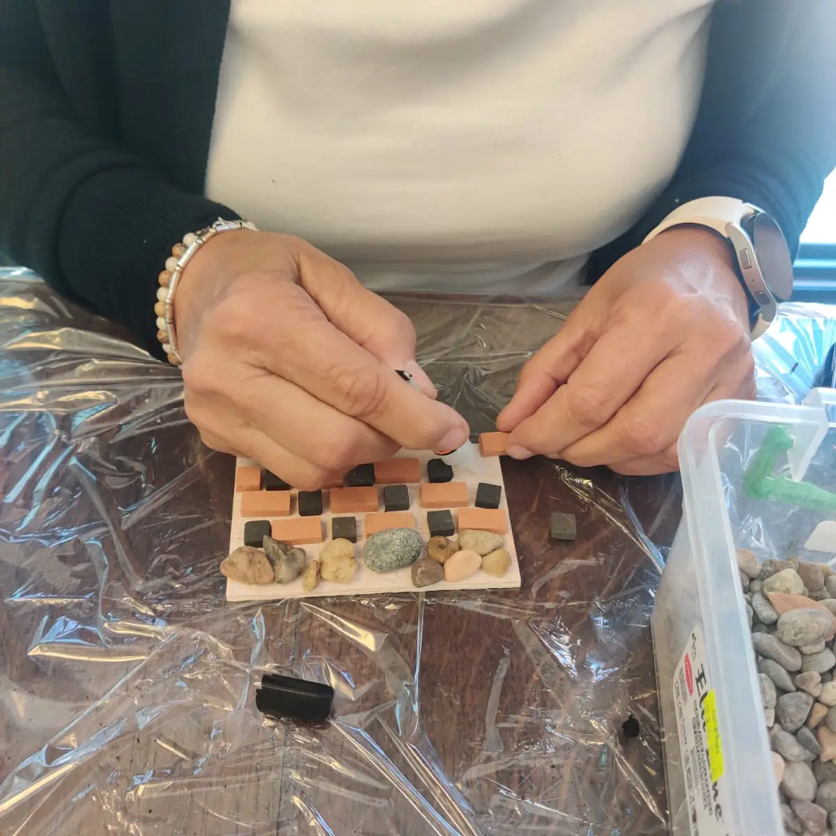 סדנת טרריום צמחים ההוביט