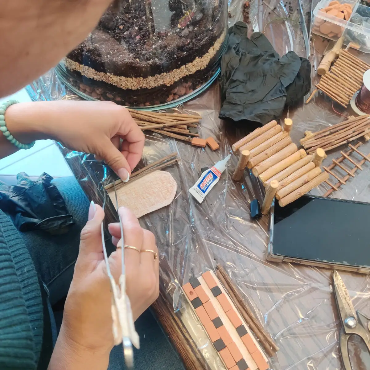 סדנת טרריום צמחים ההוביט