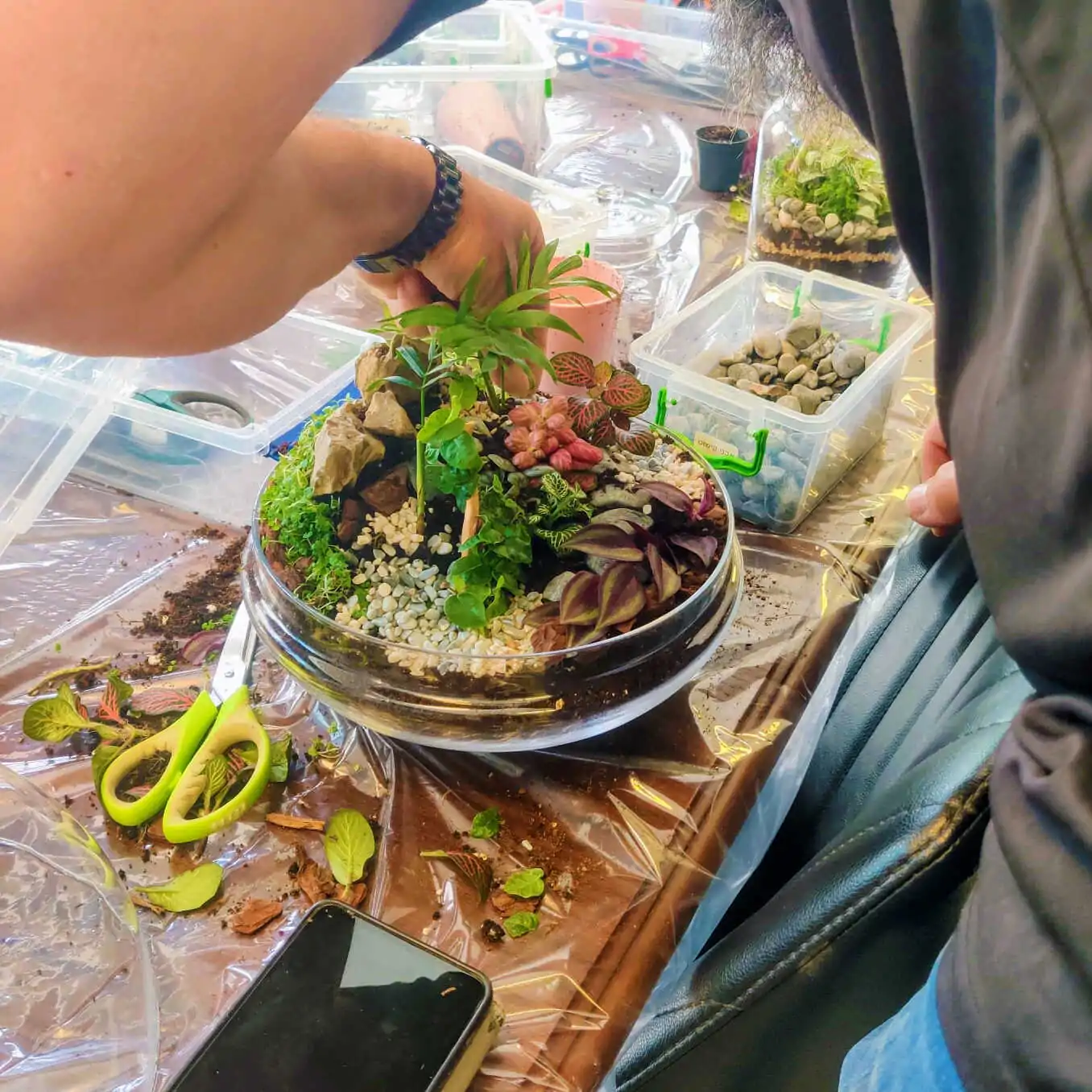 טרריום דוגמא-מסדנא 16