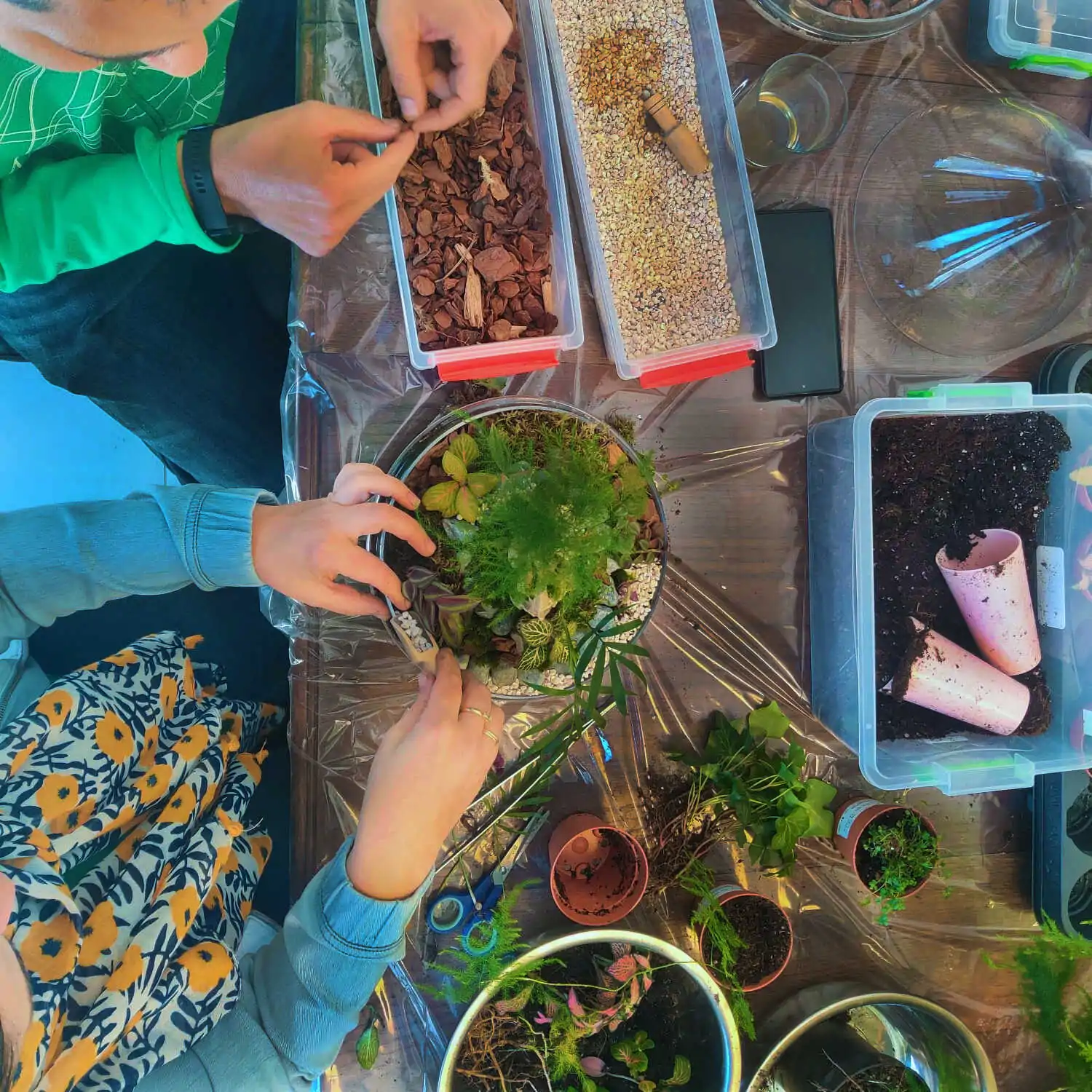 טרריום דוגמא-מסדנא 18