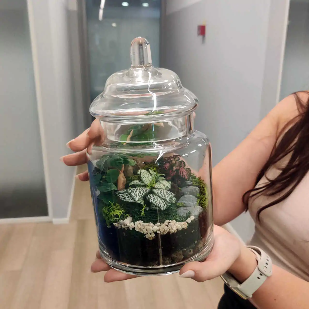 טרריום דוגמא-מסדנא 7