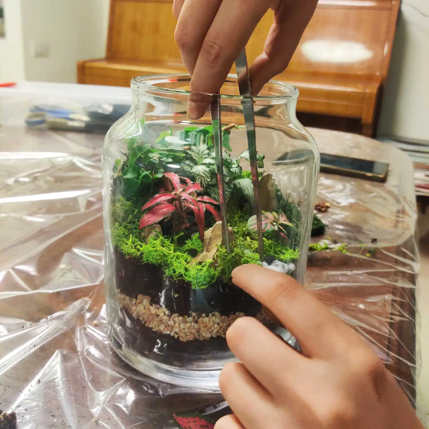 טרריום דוגמא-מסדנא 8