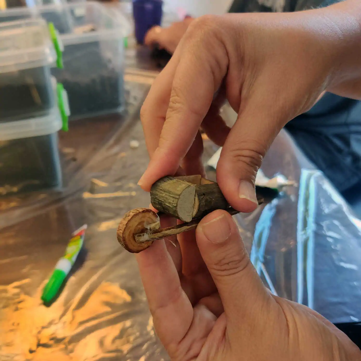 טרריום דוגמא-מסדנא ההוביט עגלה