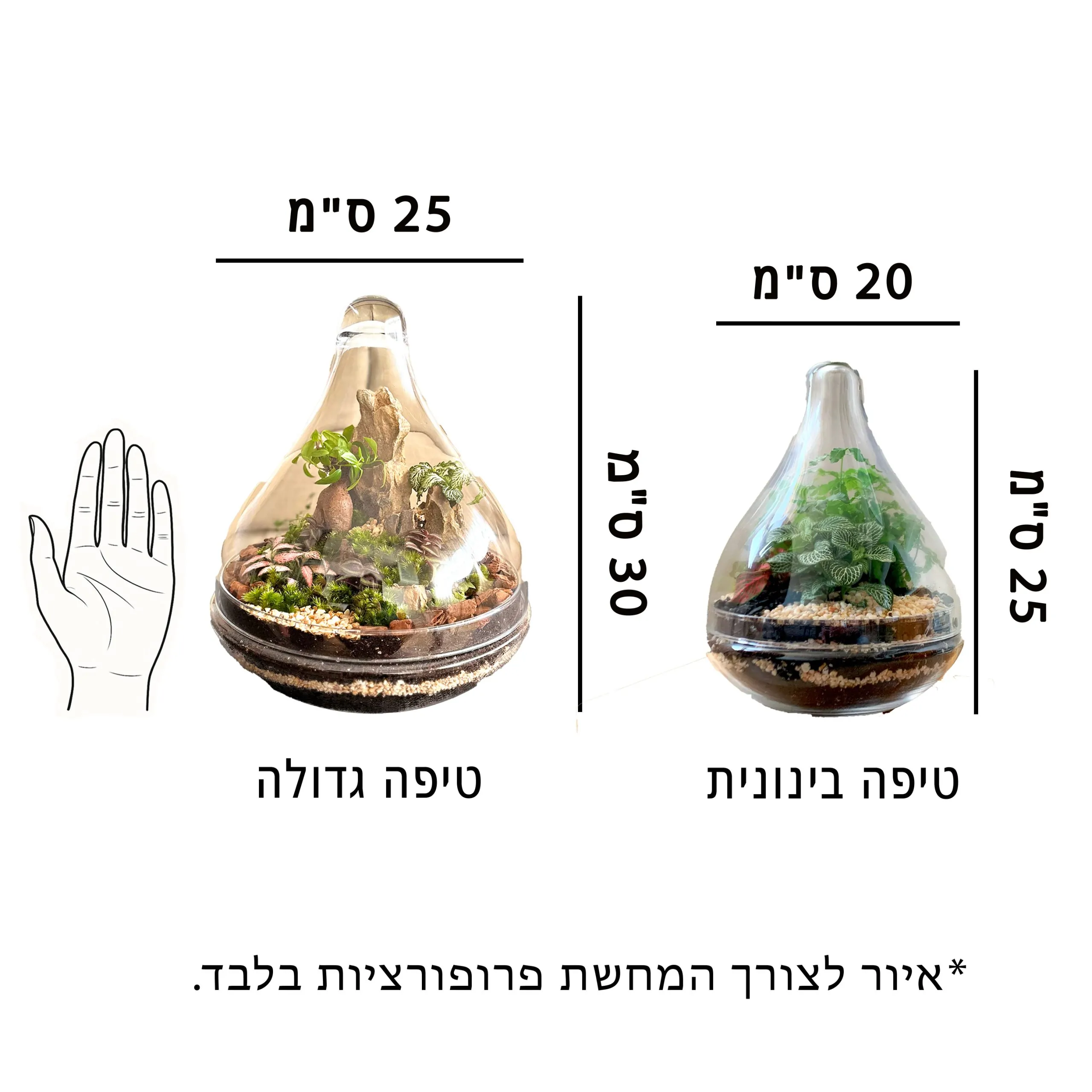 איור לצורך התרשמות וקבלת פרופורציות של הכלי