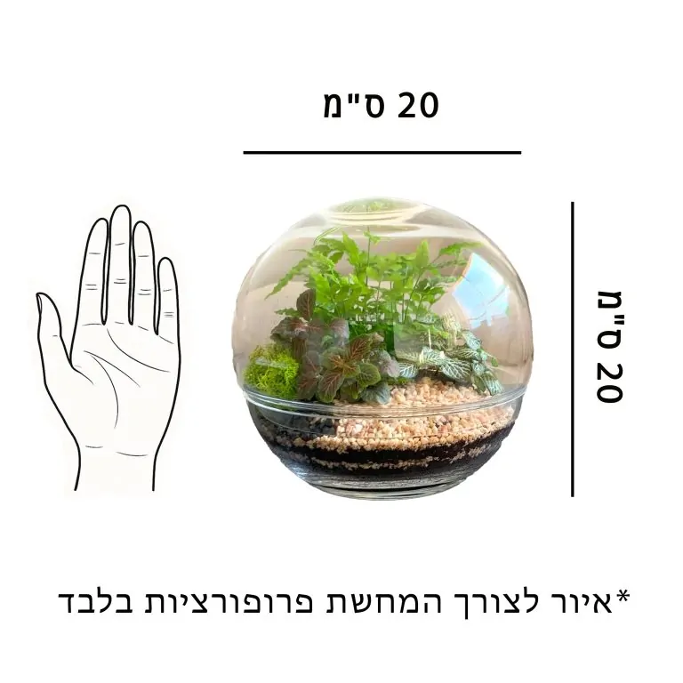 איור לצורך התרשמות וקבלת פרופורציות של הכלי