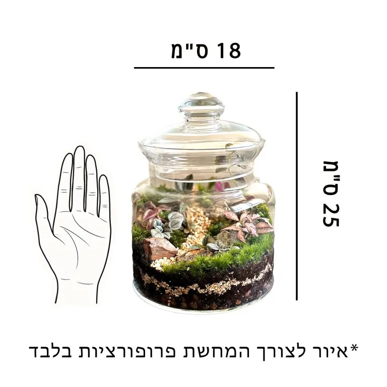 איור לצורך התרשמות וקבלת פרופורציות של הכלי