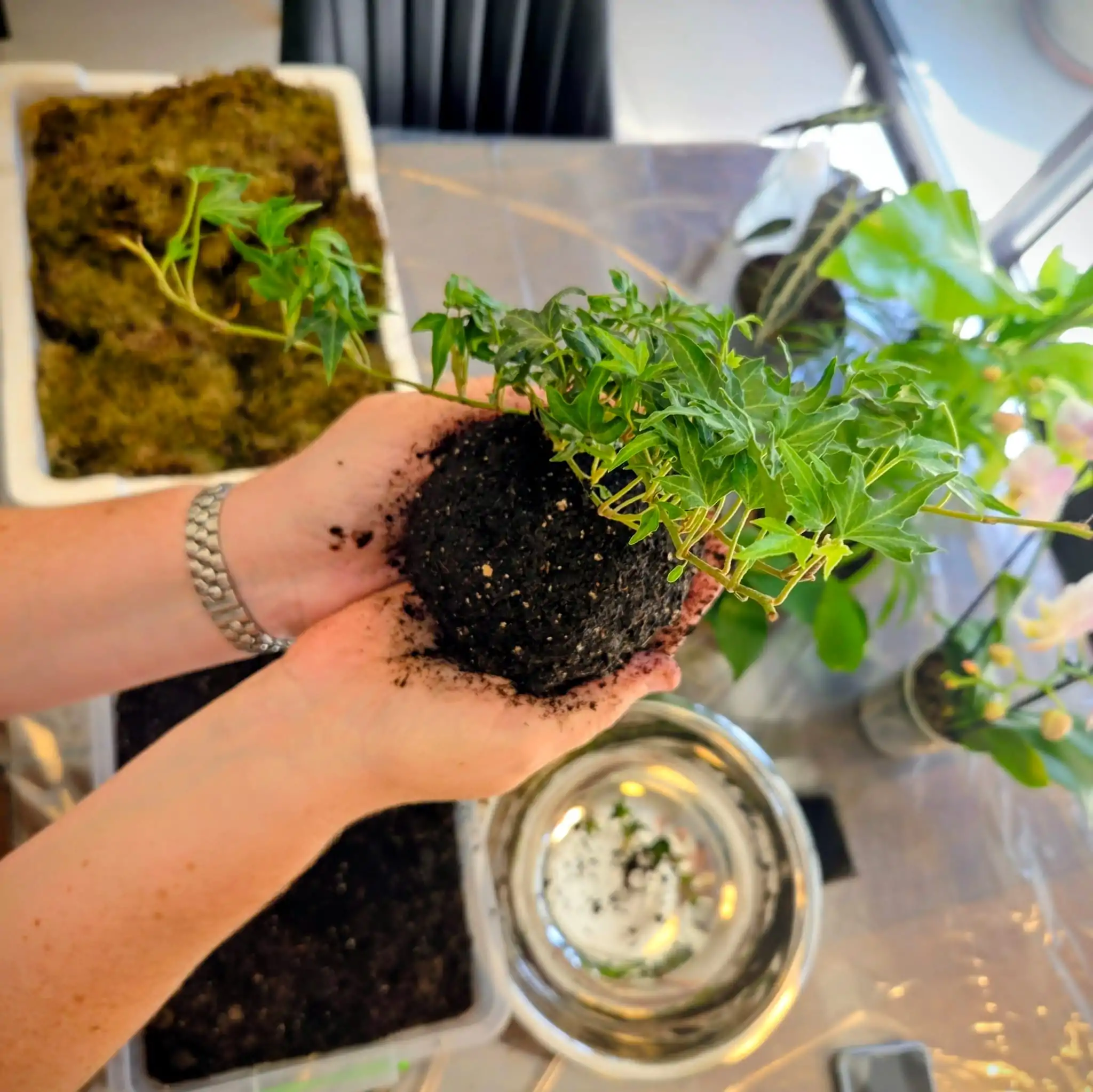 משתתפים יוצרים קוקדמה בסדנת יצירה יפנית