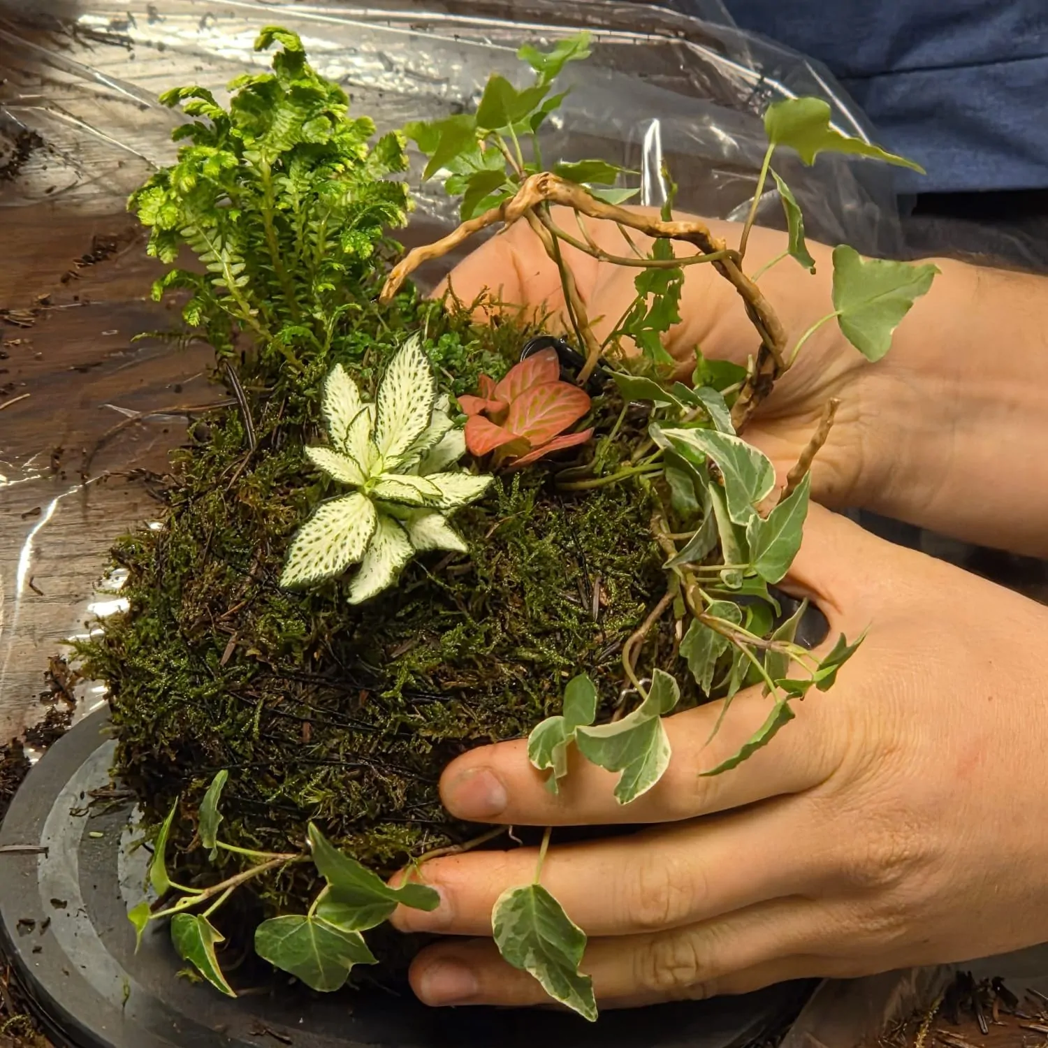 סדנת קוקדמה צמחים בהכנה