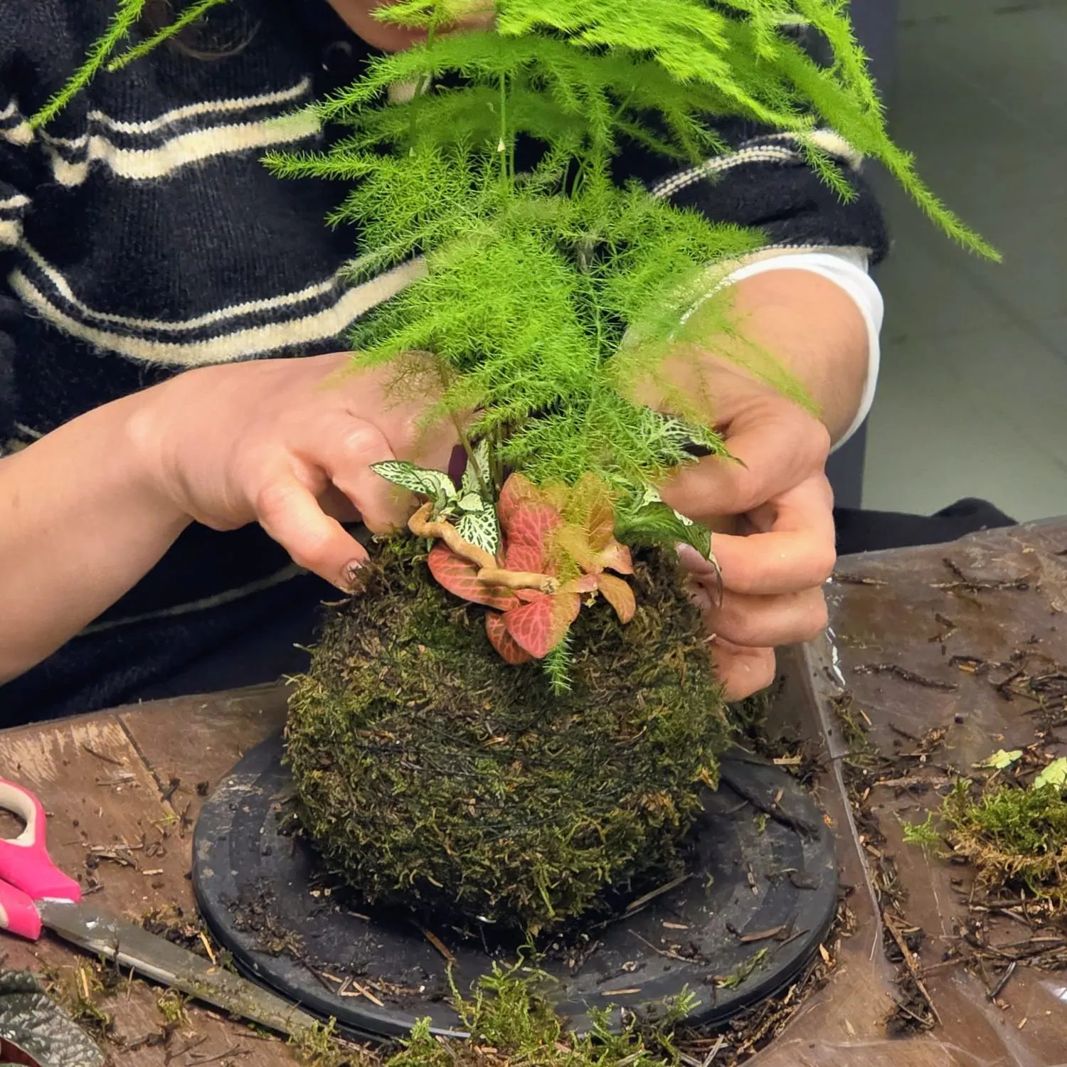 סדנת קוקדמה צמחים בהכנה