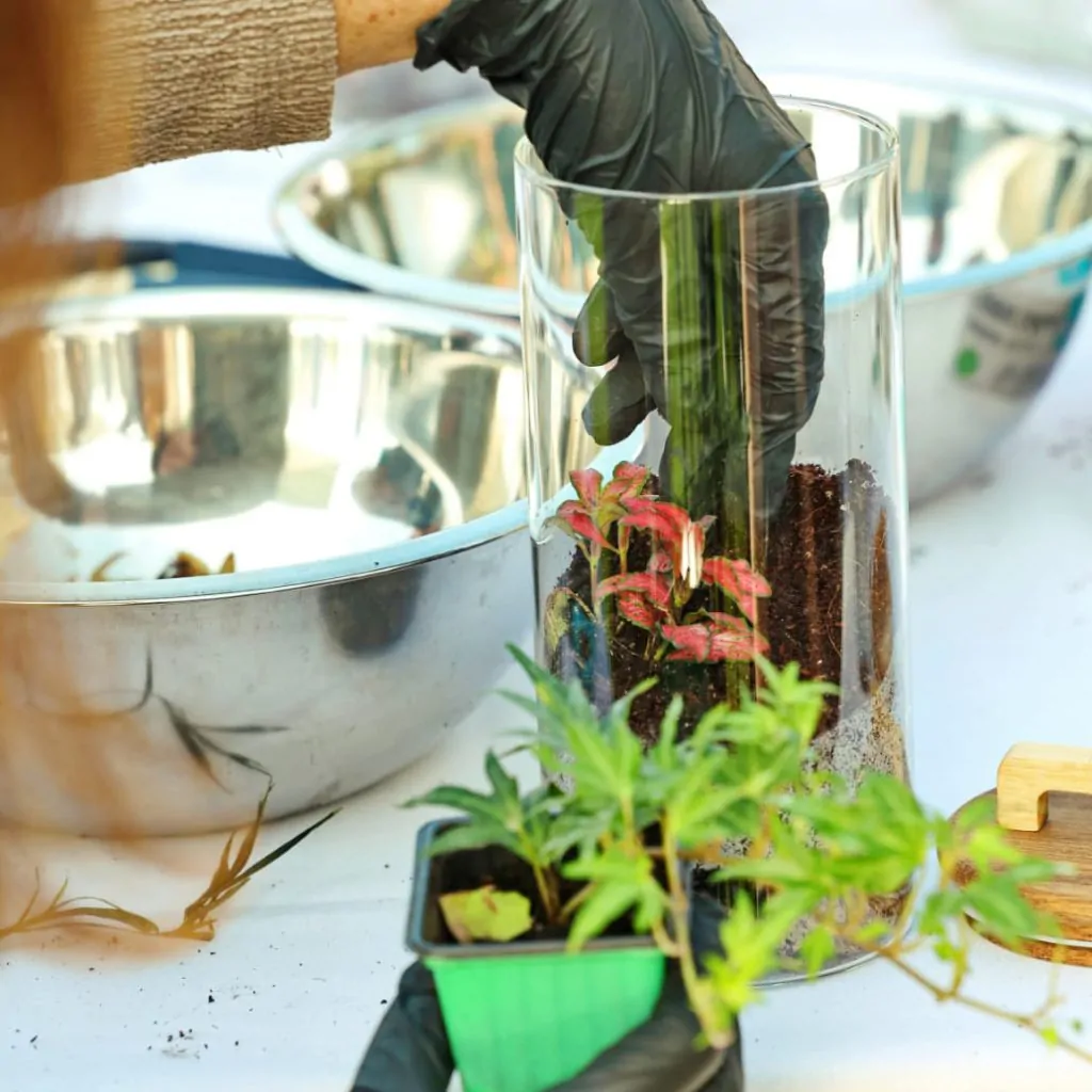 סדנת טרריום של יעל פרידמן בחברת AT&T